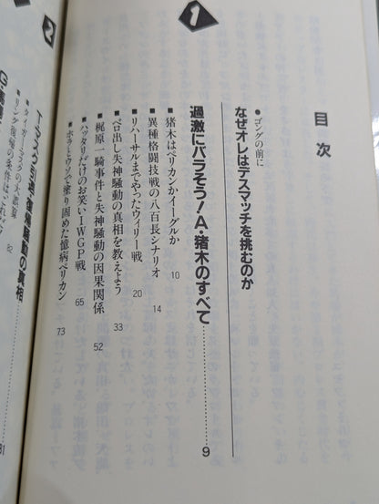 こんなプロレス知ってるかい