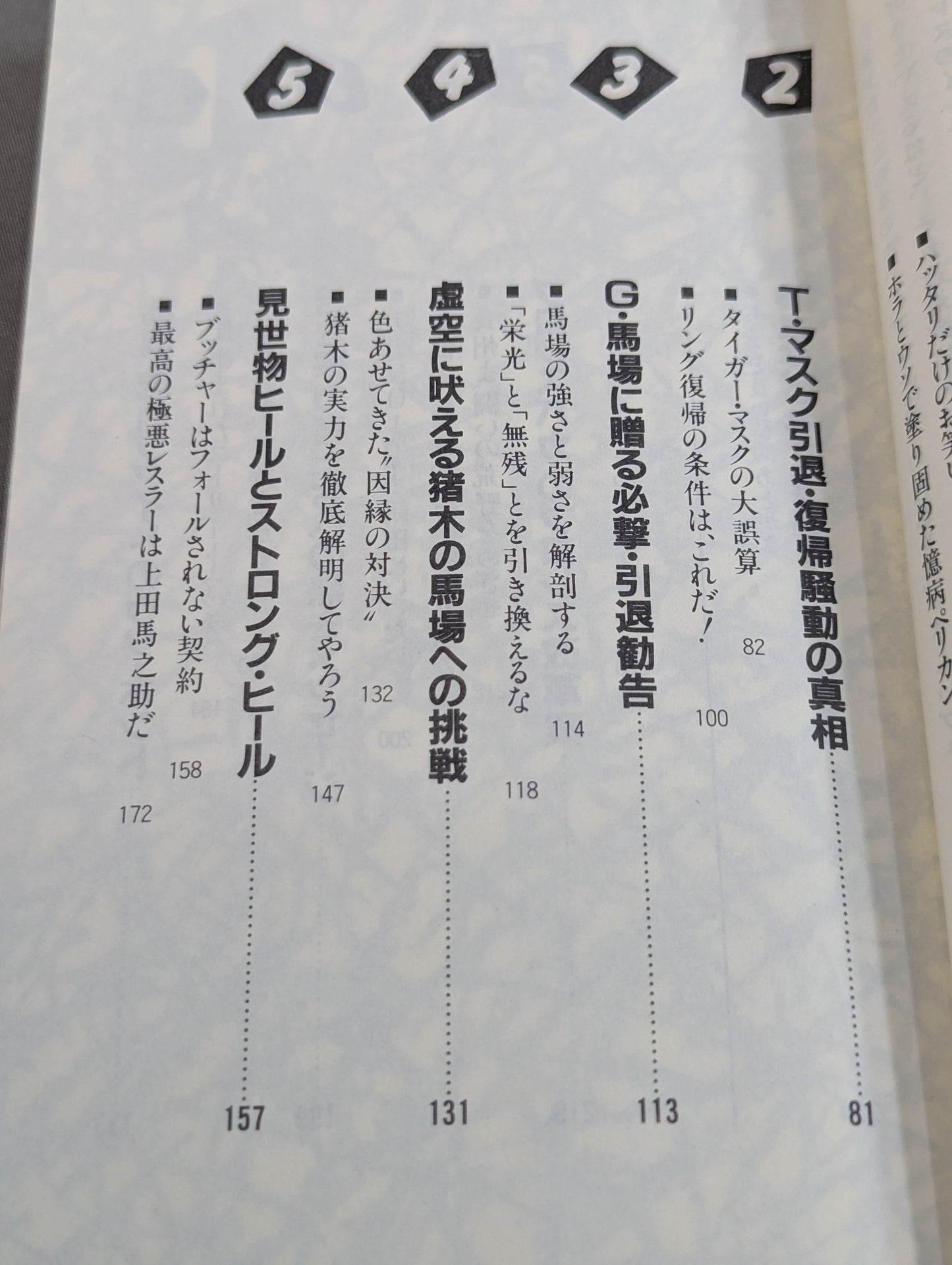こんなプロレス知ってるかい