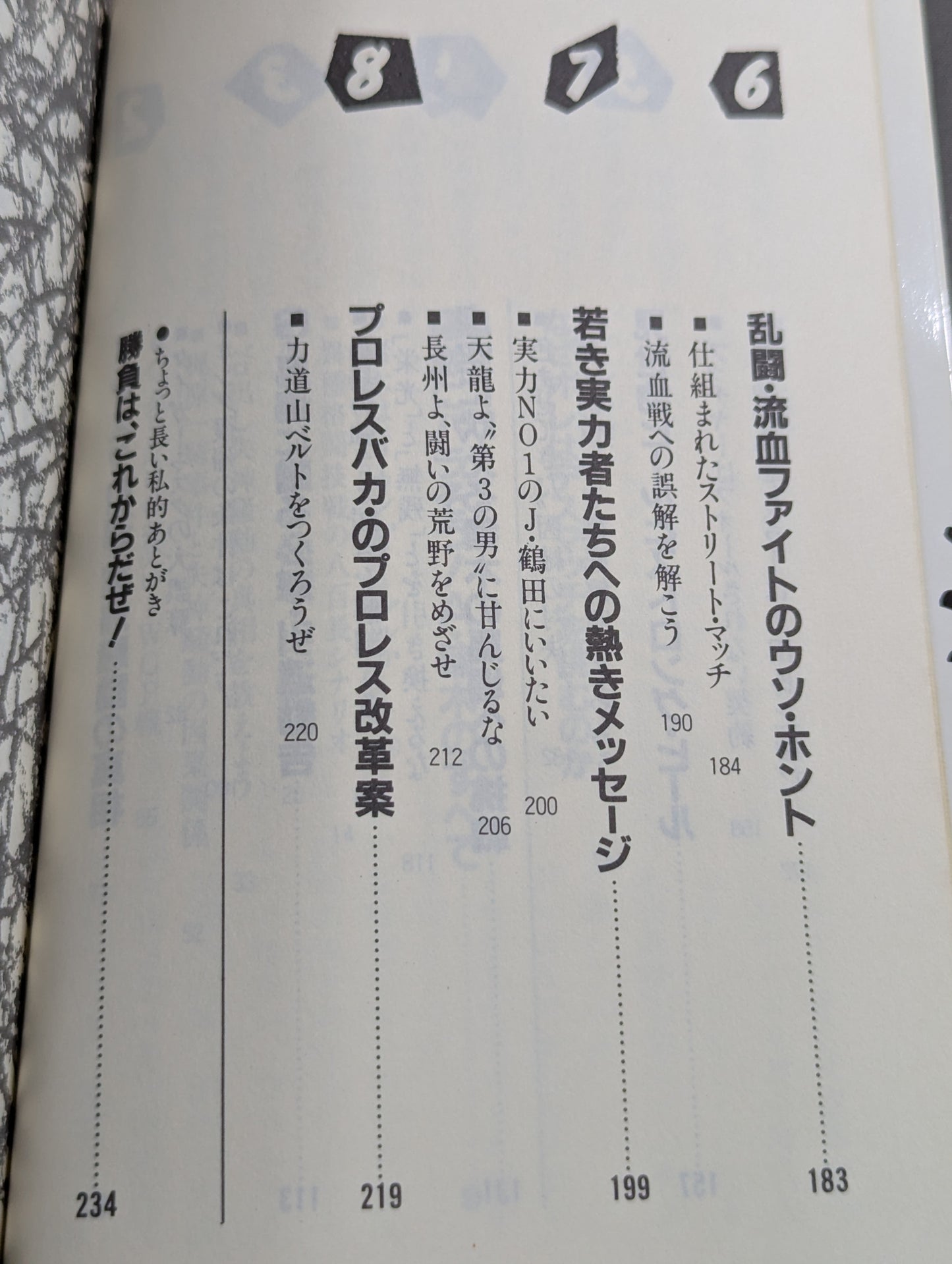 こんなプロレス知ってるかい