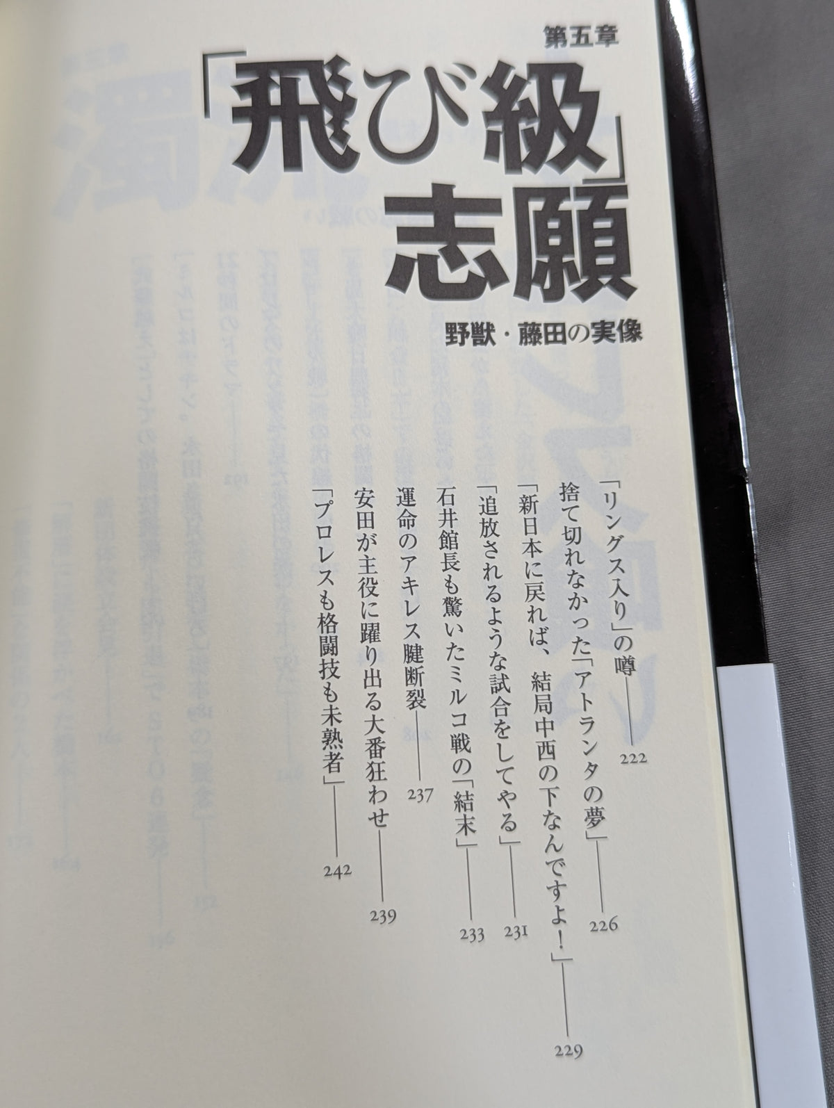 Infanticide with Inoki Ten Years' War in New Japan Pro Wrestling