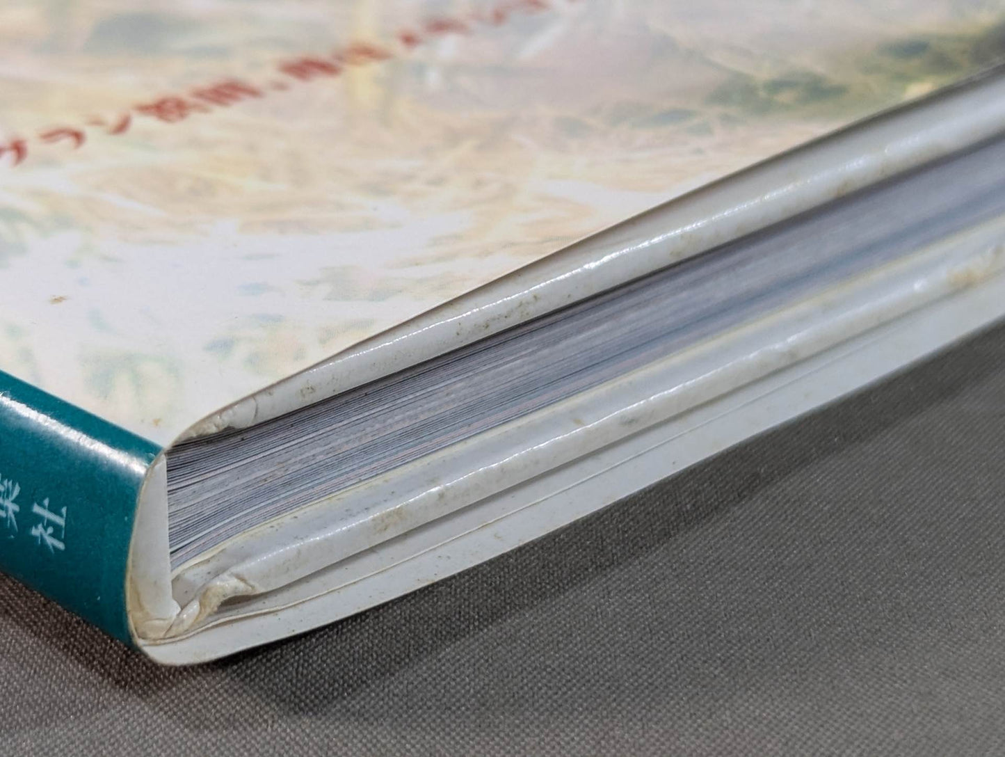 【直筆サイン入り】浜田文子 写真集 VALENTINA