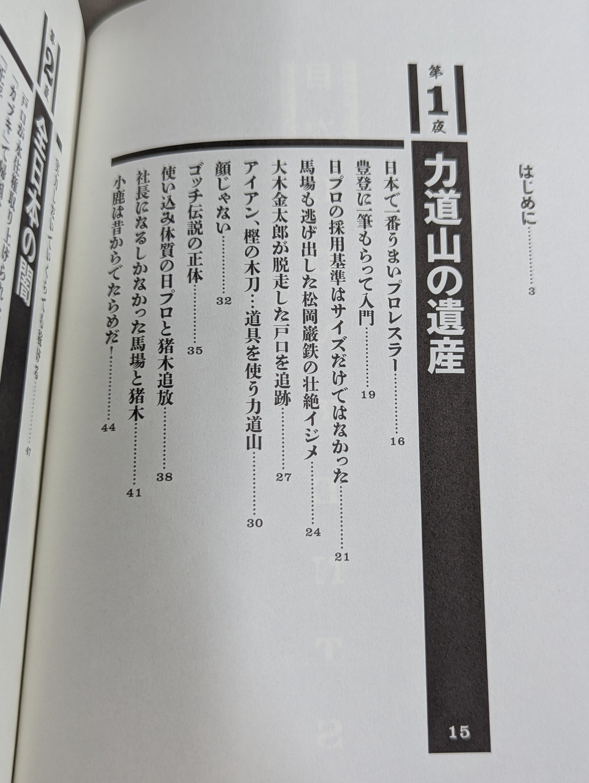 Poisonous Tiger Shoot Night Story Showa Pro Wrestling  Dark Dialogue
