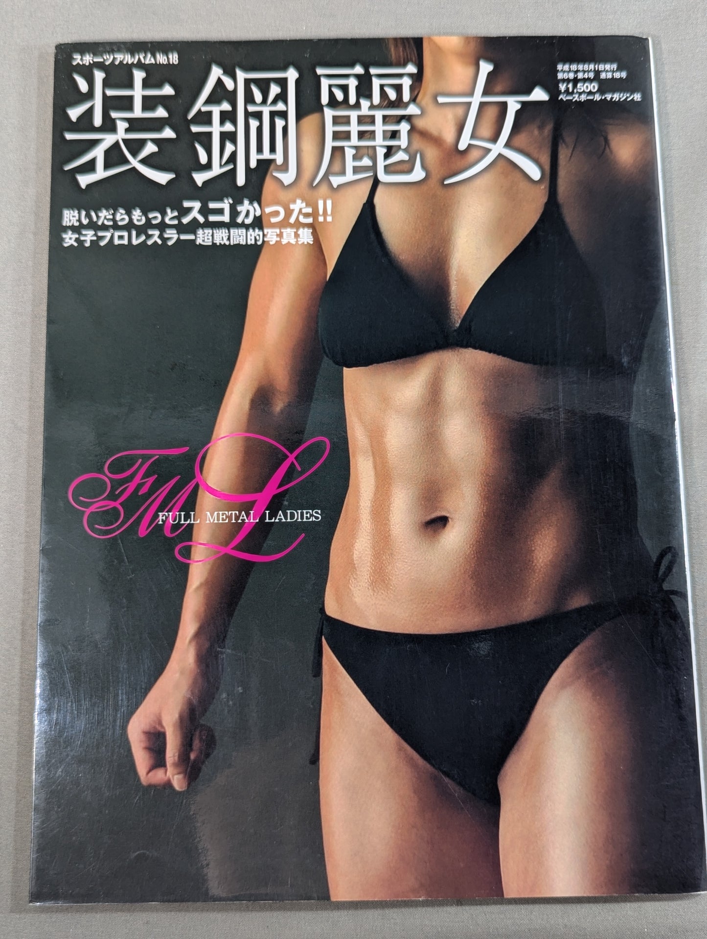 Armored Woman ~Women's Pro Wrestler  Super Combat Photo  Collection~