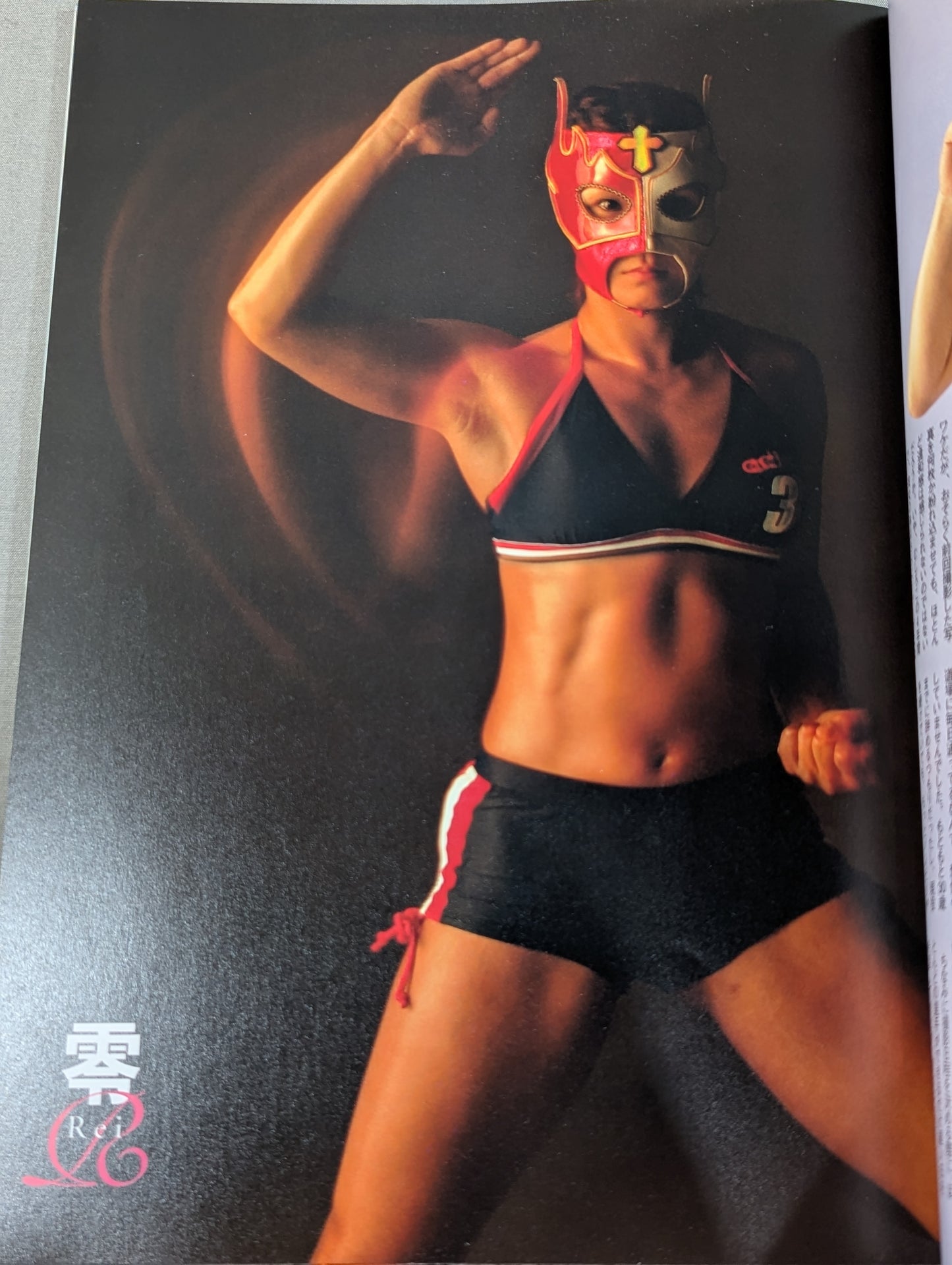 Armored Woman ~Women's Pro Wrestler  Super Combat Photo  Collection~