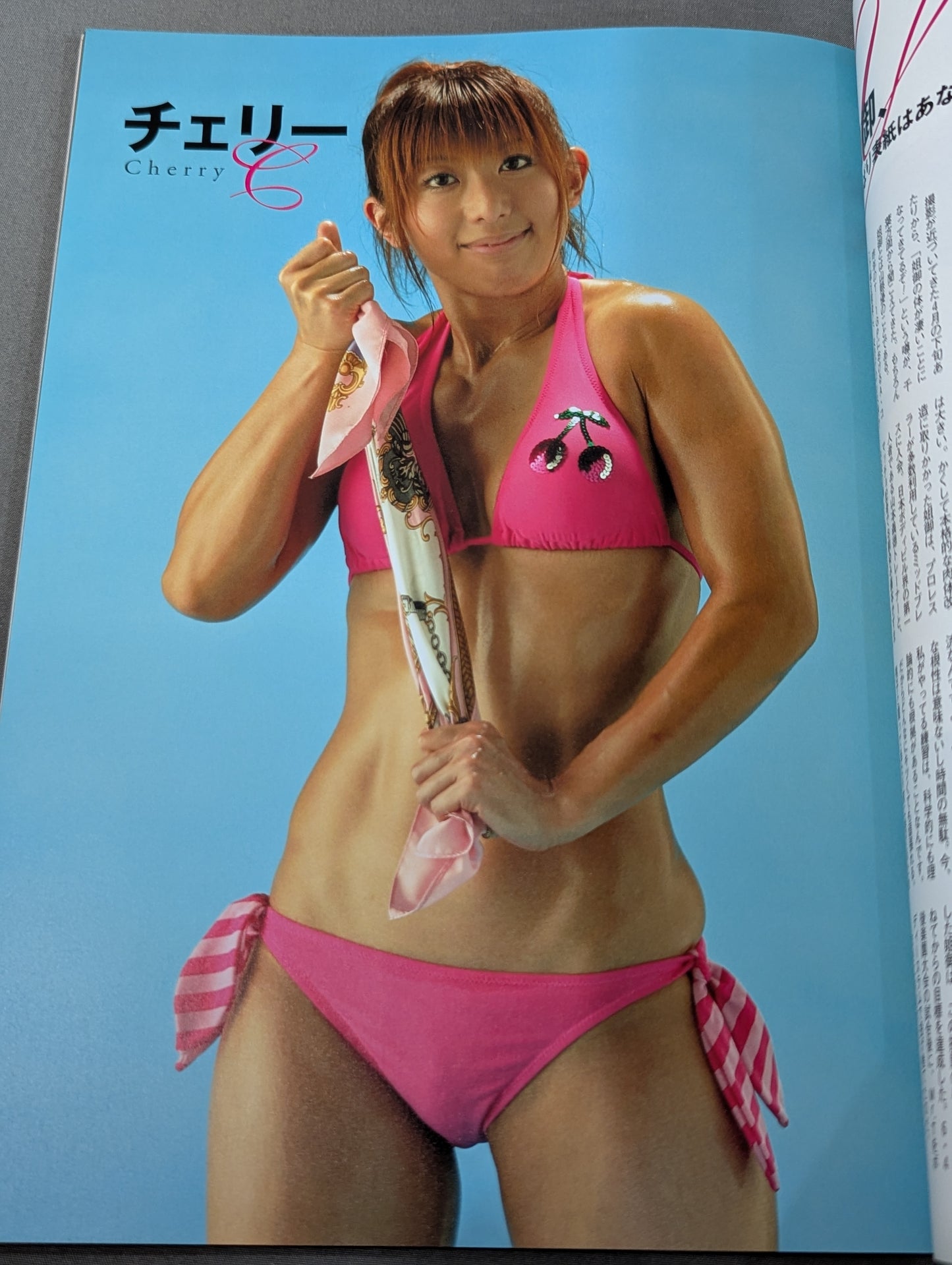Armored Woman ~Women's Pro Wrestler  Super Combat Photo  Collection~