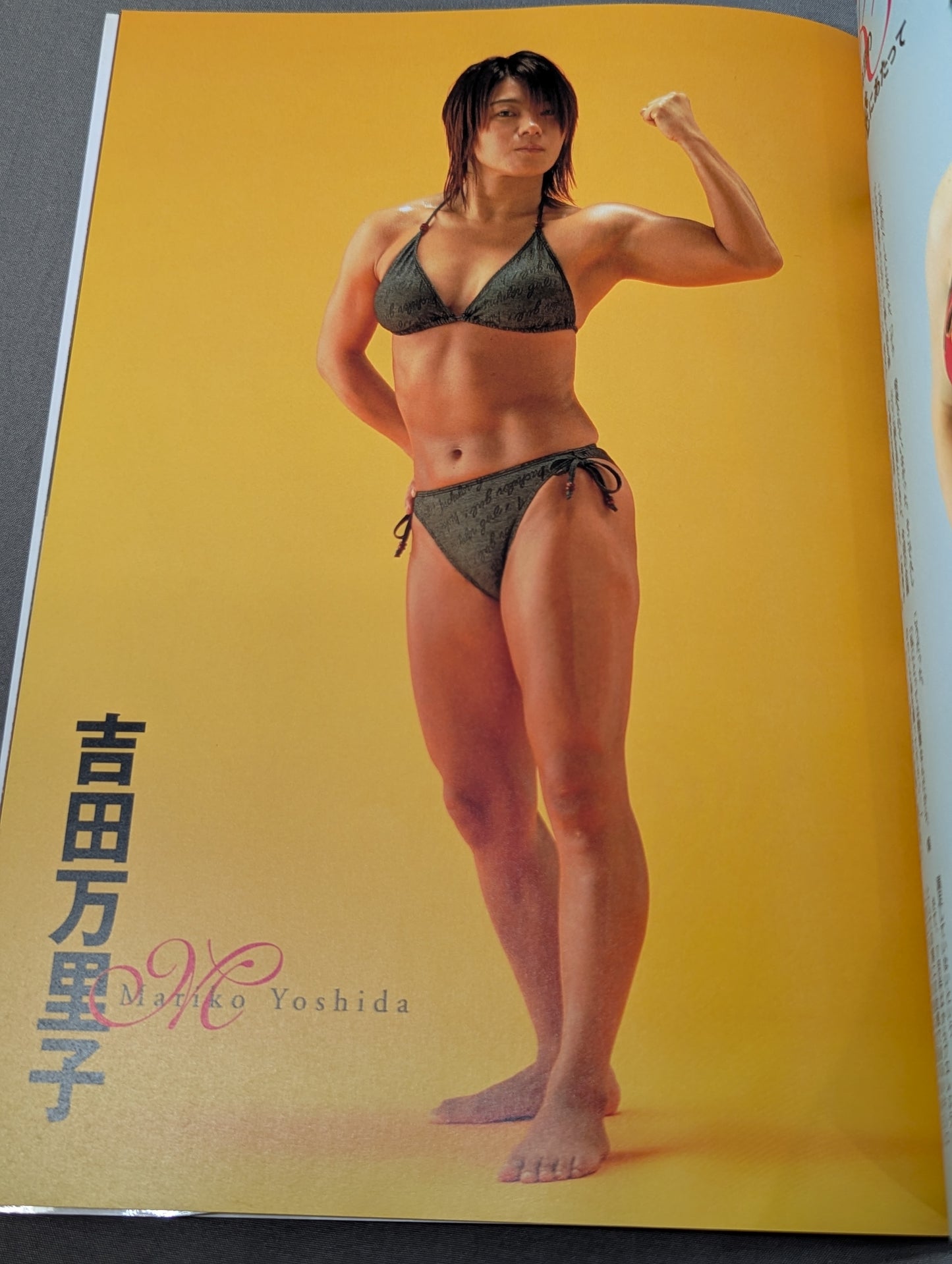 Armored Woman ~Women's Pro Wrestler  Super Combat Photo  Collection~