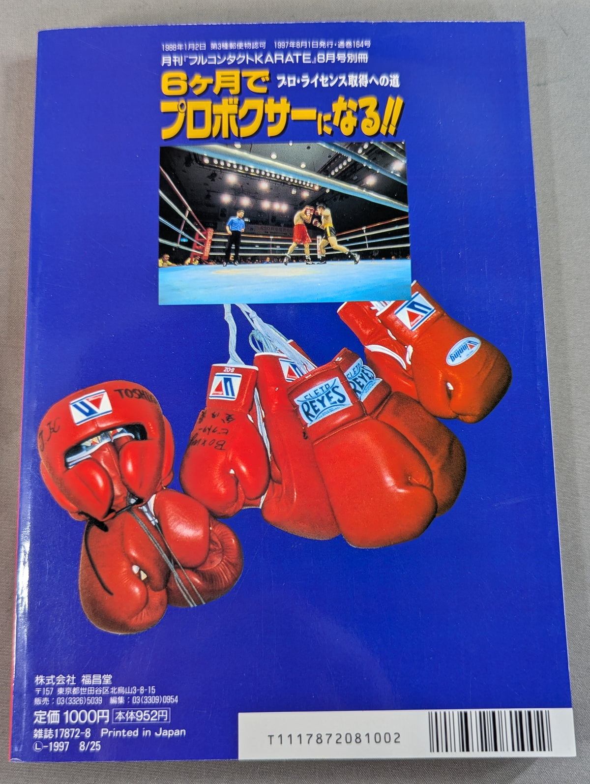 Become a professional boxer in 6 months! The Path to a Pro License