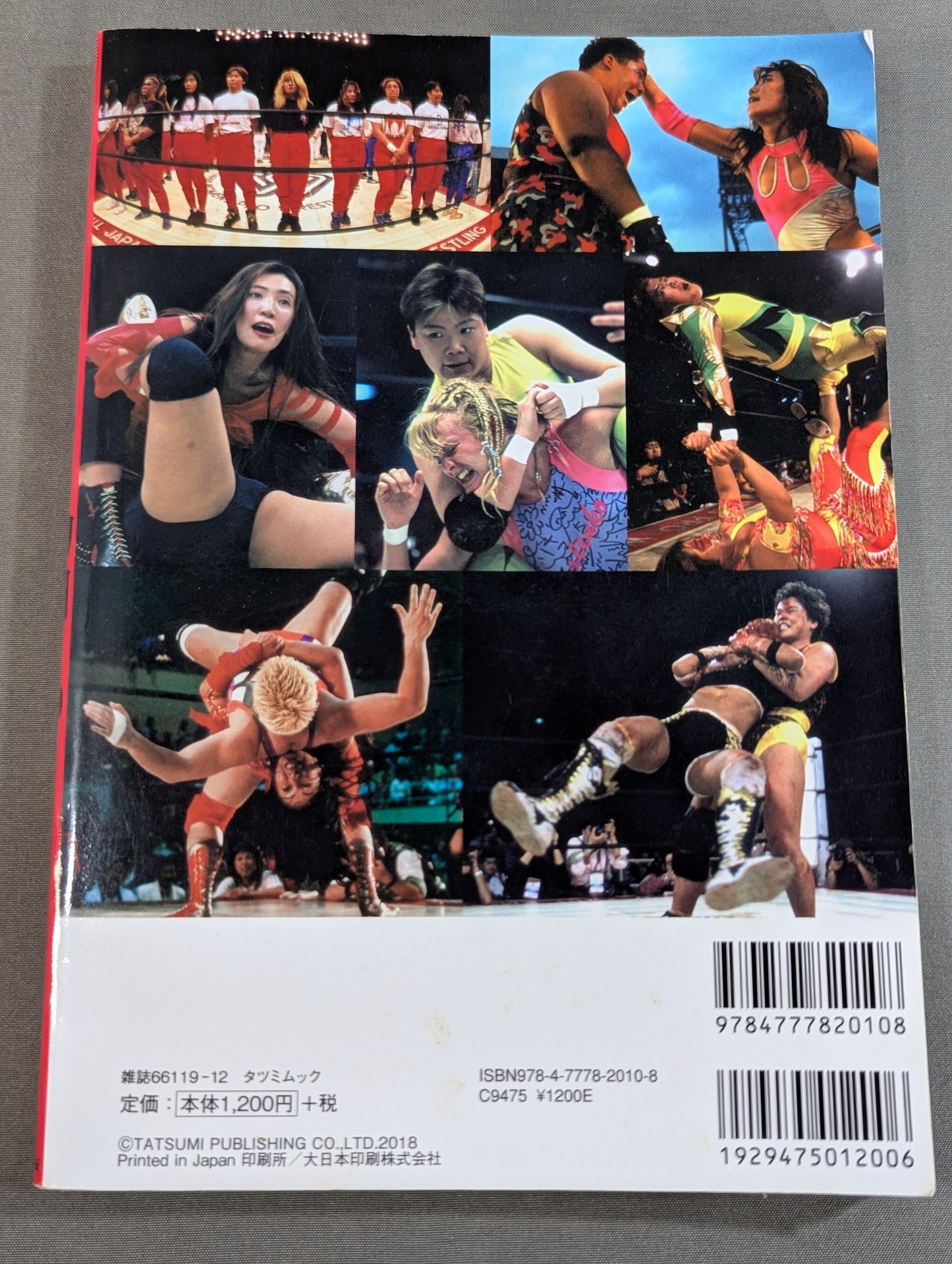 Women's Pro Wrestling The Brilliant 90s