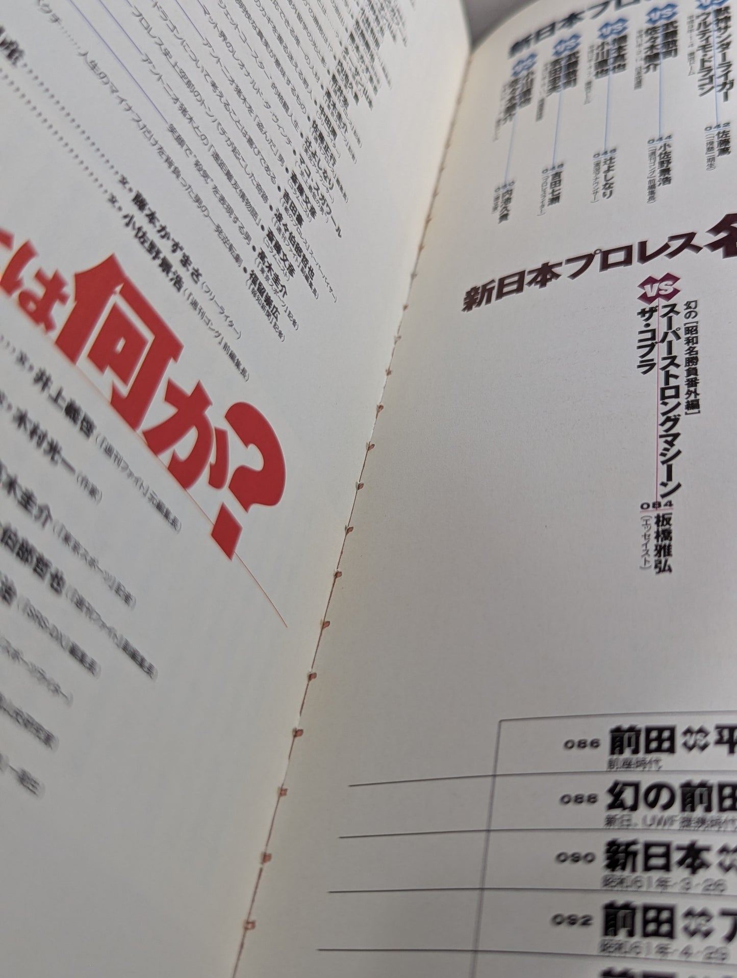 Tarzan Yamamoto Responsible Editing New Japan Pro Wrestling  30th Anniversary Unofficial Guide SINCE1972~2002