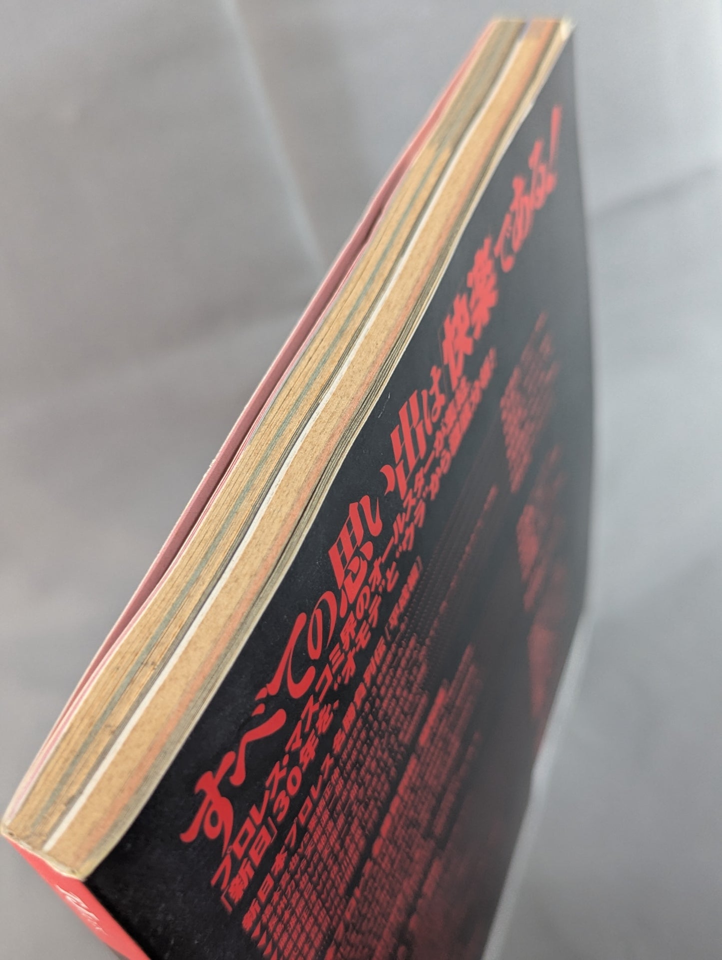 Tarzan Yamamoto Responsible Editing New Japan Pro Wrestling  30th Anniversary Unofficial Guide SINCE1972~2002