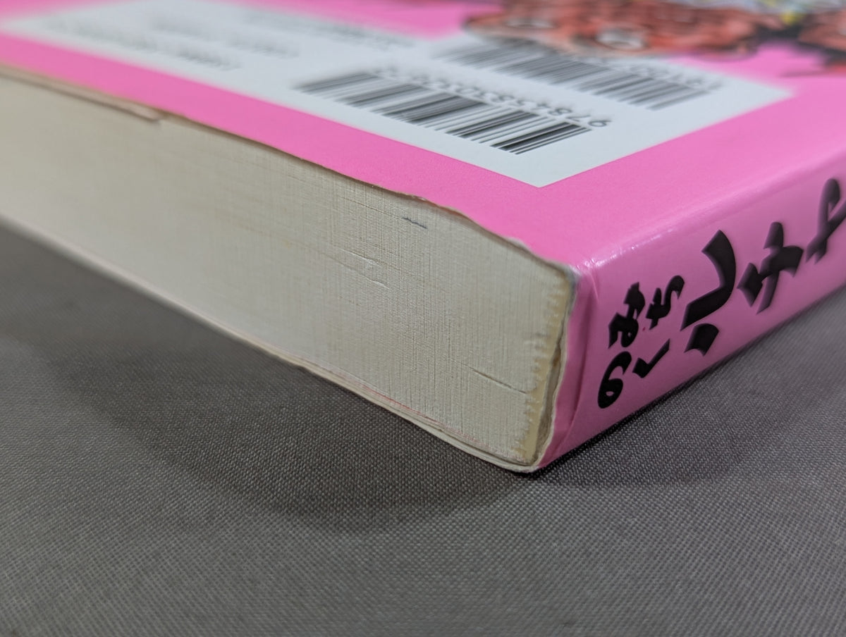Michinoku Ruchabaka Diary