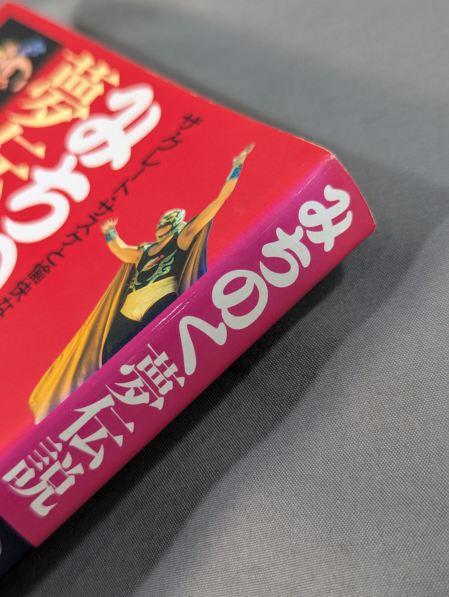 みちのく夢伝説  ザ・グレート・サスケと愉快な仲間