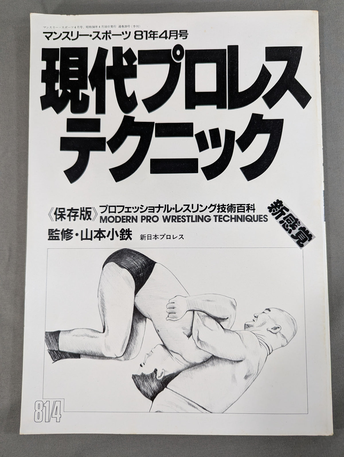 現代プロレステクニック 《保存版》プロフェッショナル・レスリング技術百科