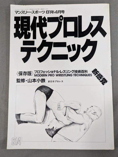 現代プロレステクニック 《保存版》プロフェッショナル・レスリング技術百科