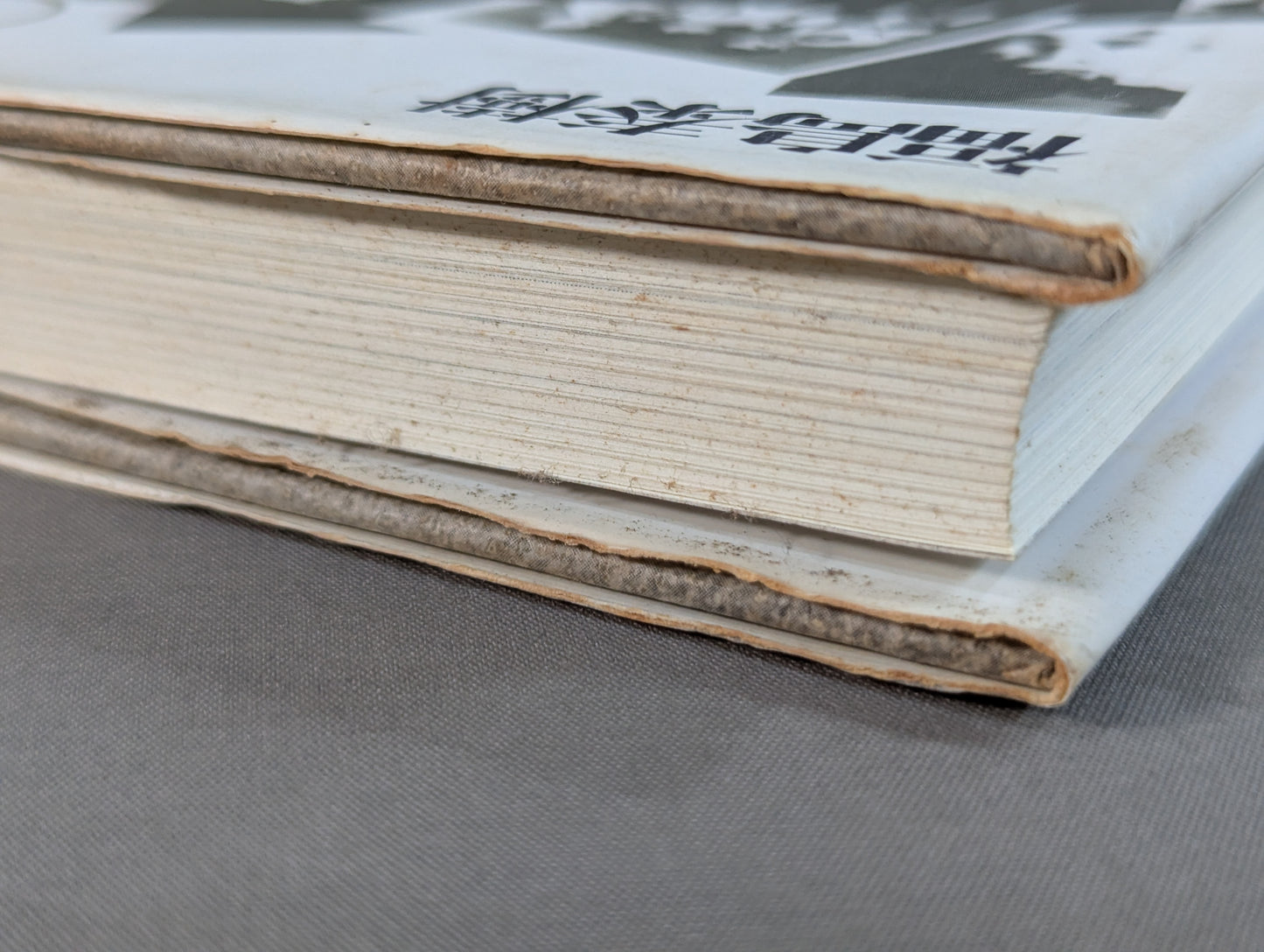 The excitement of 300,000 candles to Joichiro Tatsuyoshi