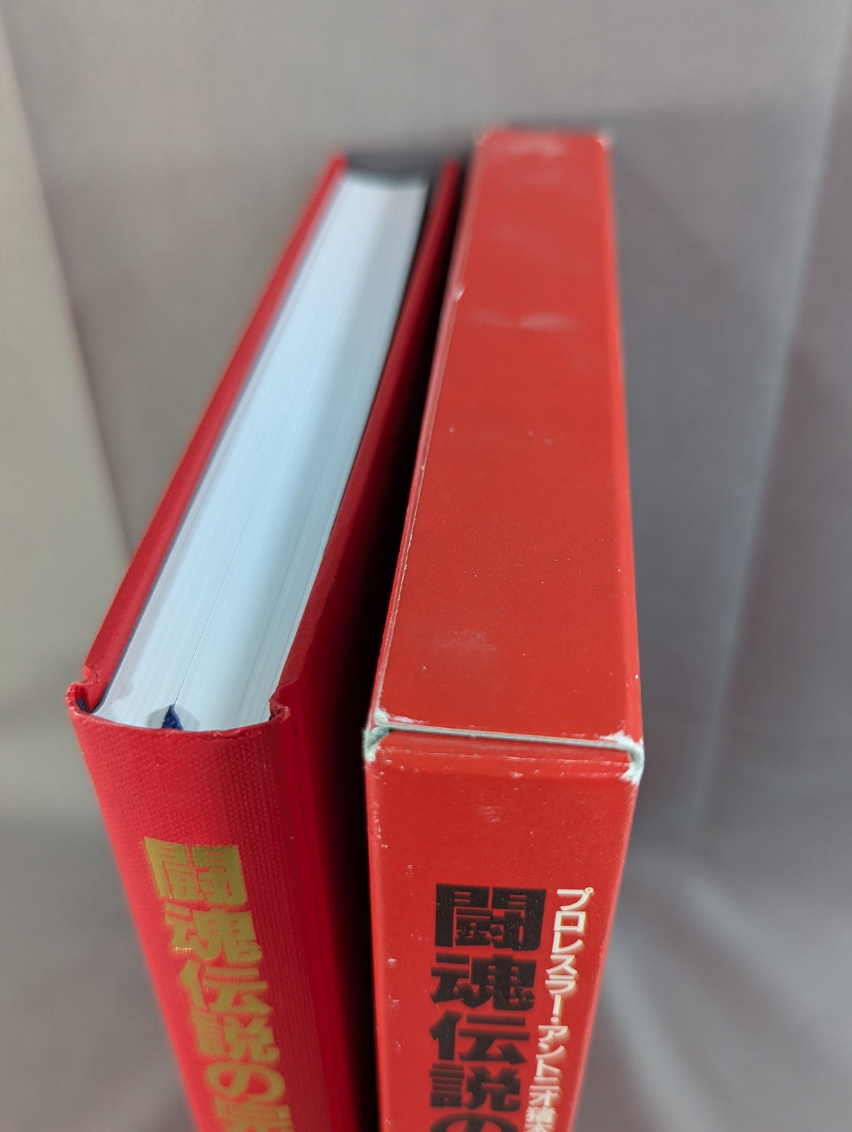 闘魂伝説の完全記録 Vol.5 ヨーロッパ遠征～ウイリー・ウイリアムス戦 1978-1980
