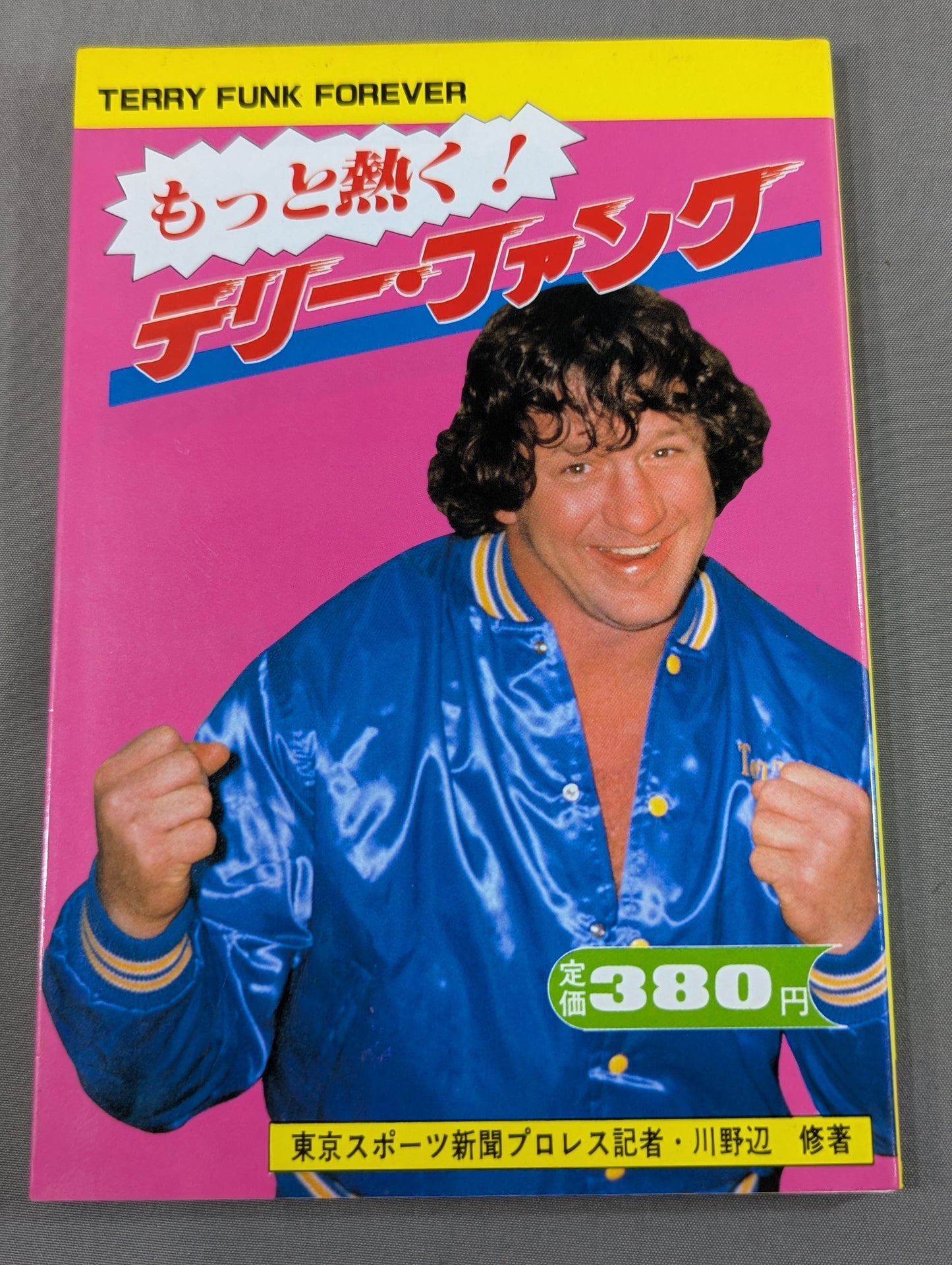 もっと熱く!テリー・ファンク