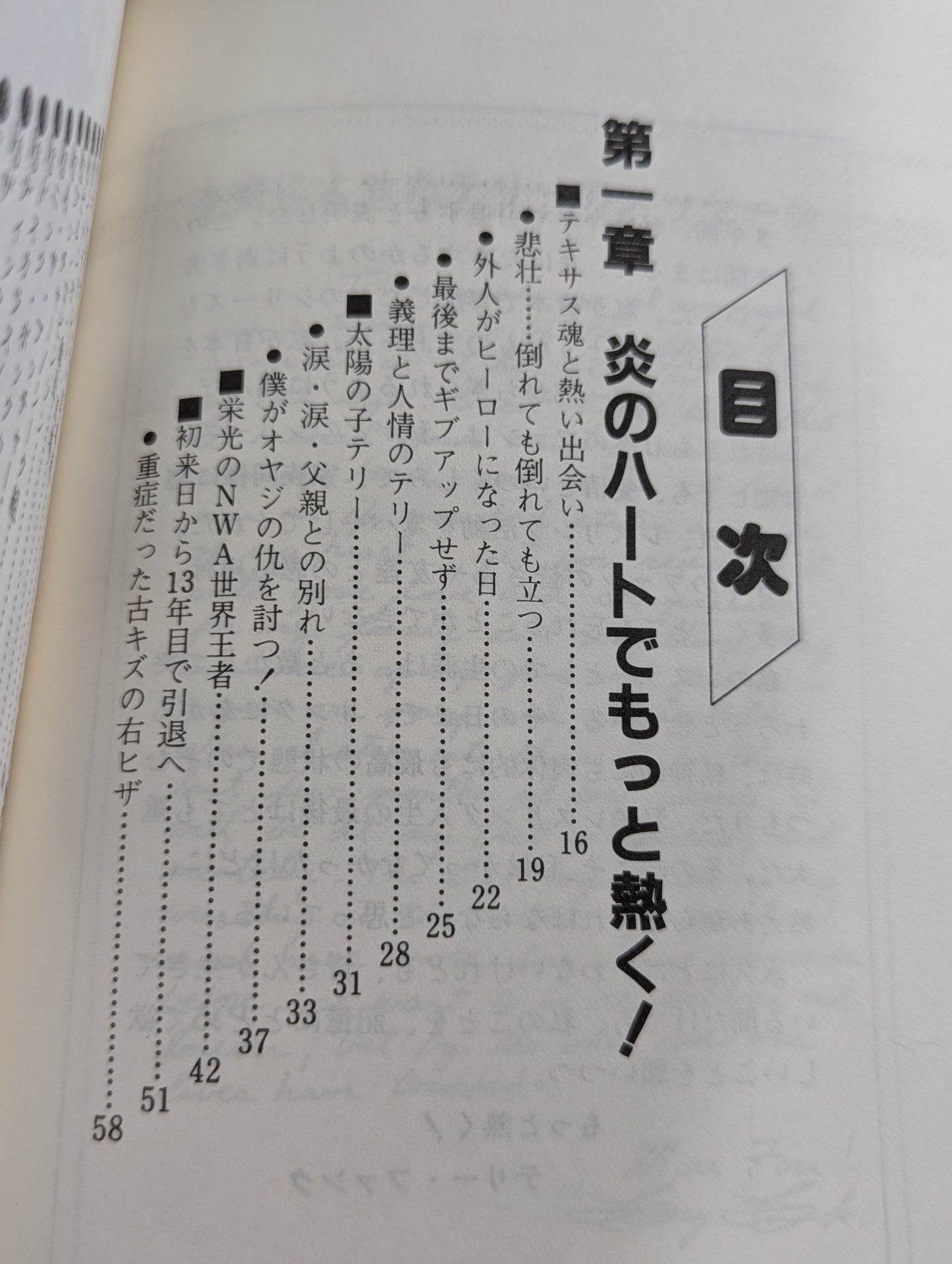 もっと熱く!テリー・ファンク