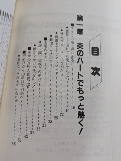 もっと熱く!テリー・ファンク