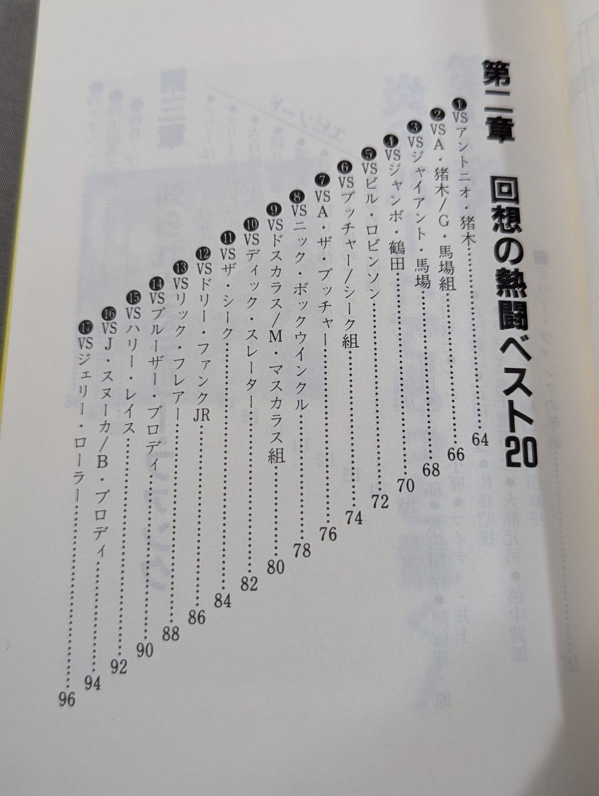 もっと熱く!テリー・ファンク