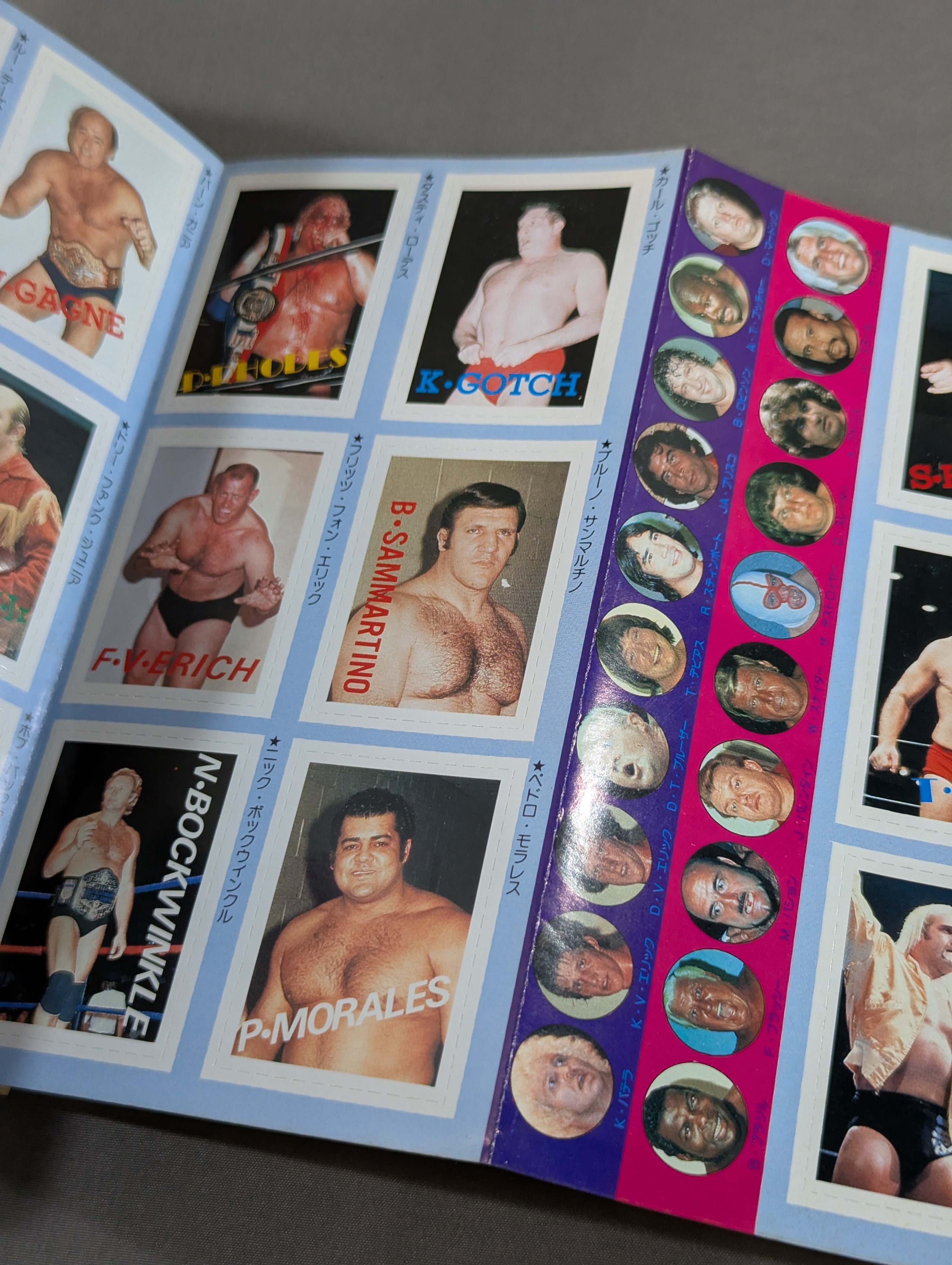 プロレス・オールガイドブック④ プロレスリングUSAザ・ベスト – 闘道館