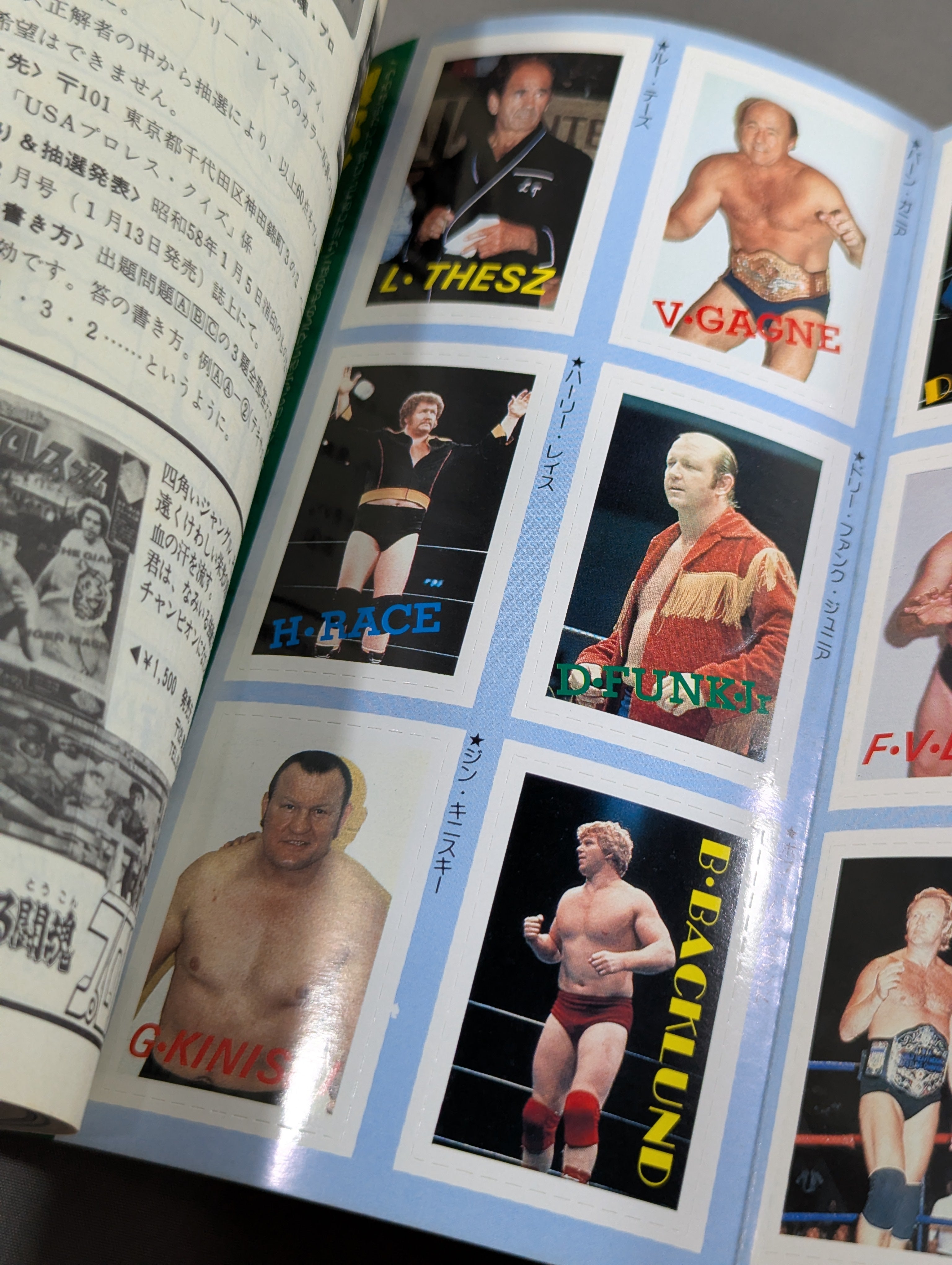 プロレス・オールガイドブック④ プロレスリングUSAザ・ベスト – 闘道館