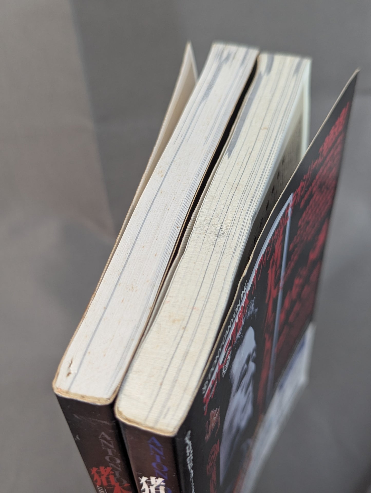 [Set of 2 books] What is Inoki ?