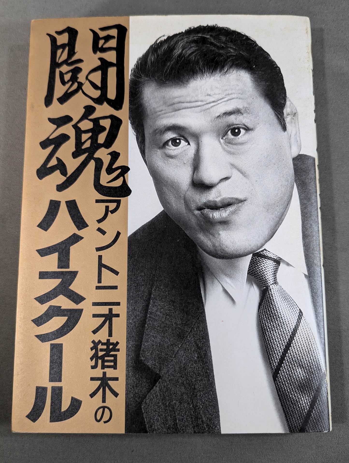 Fighting Spirit High School