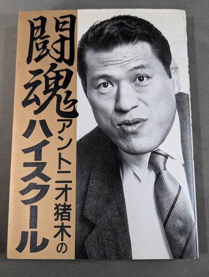 Fighting Spirit High School