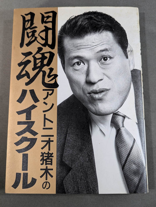 Fighting Spirit High School