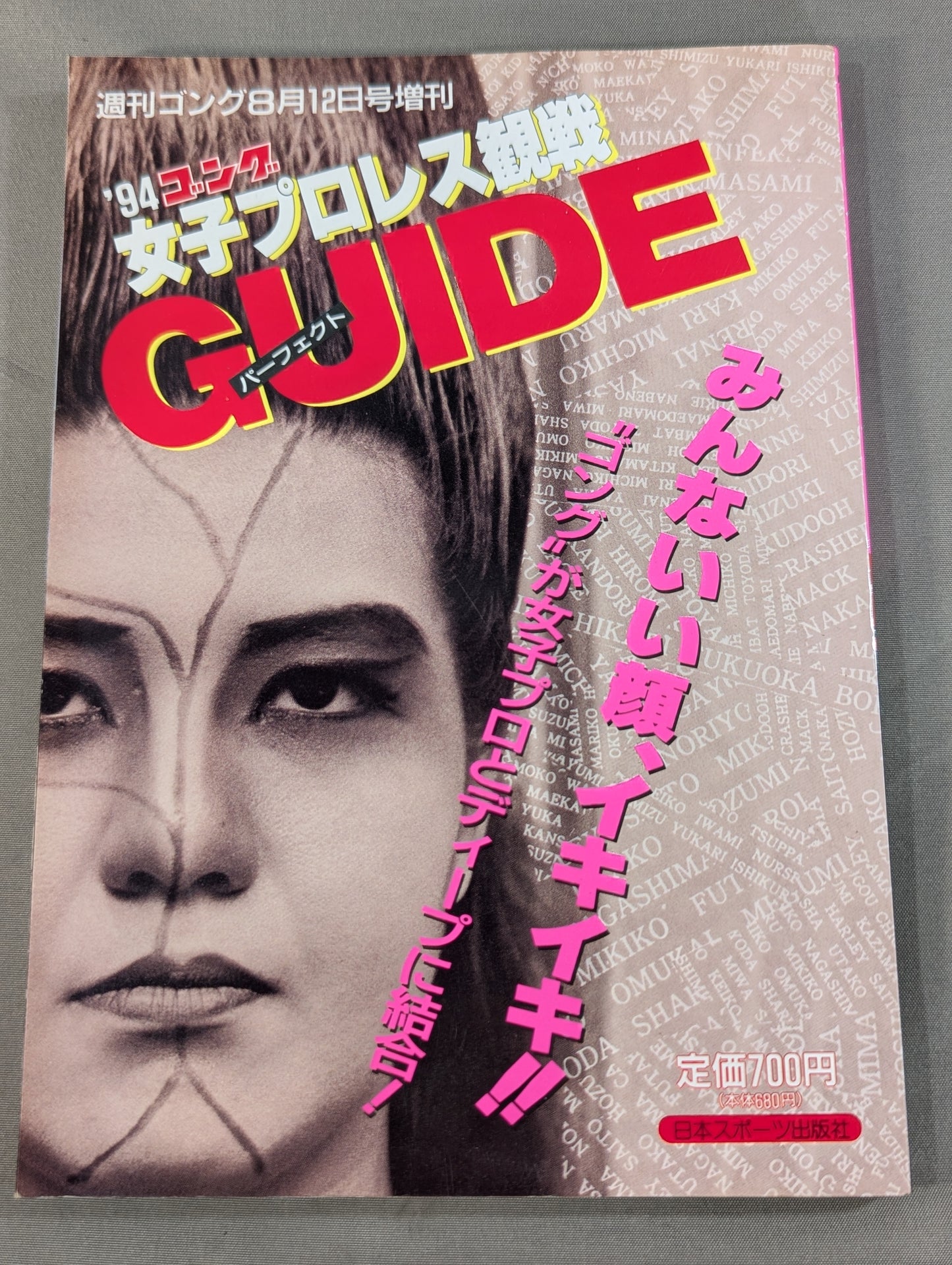 94 Gong Women's Pro Wrestling Perfect Guide