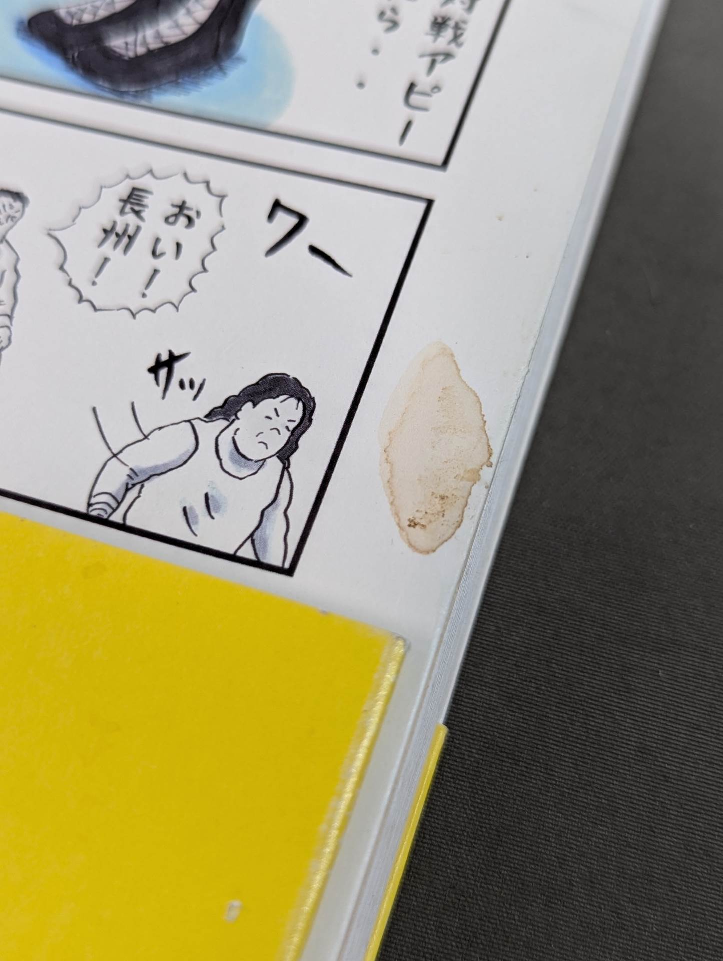 味のプロレス オールスター編