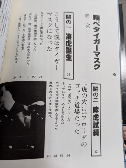 翔べタイガーマスク