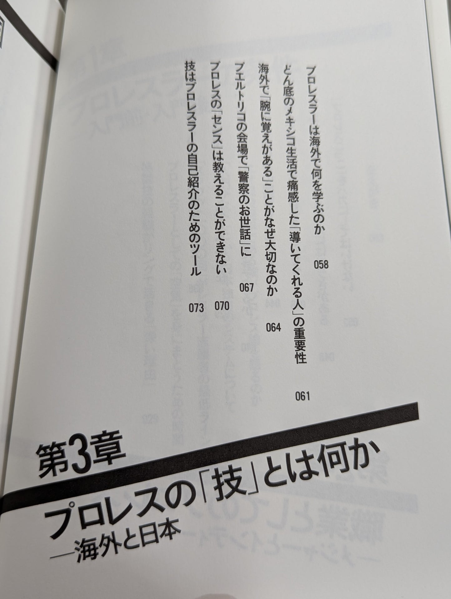 プロレスラーは観客に何を見せているのか