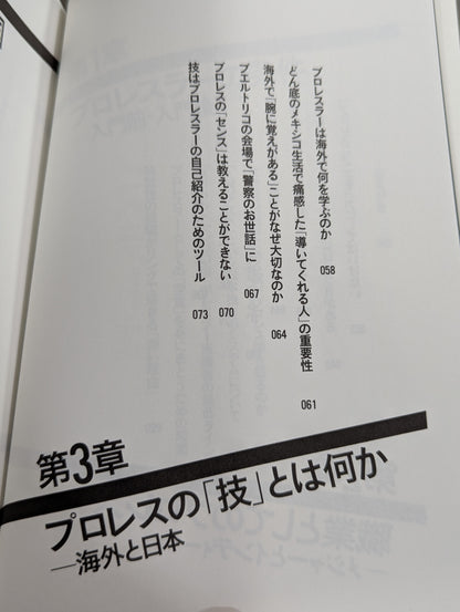 プロレスラーは観客に何を見せているのか