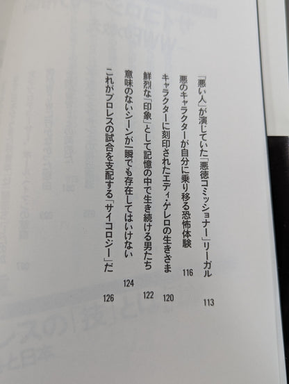 プロレスラーは観客に何を見せているのか