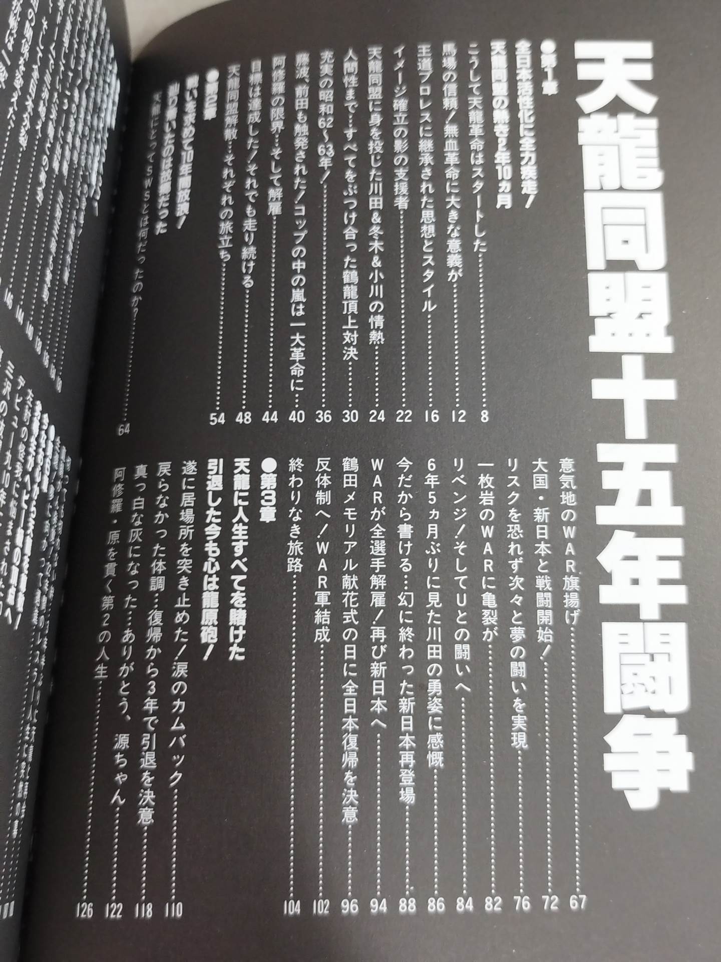 Tenryu Alliance Fifteen Years Struggle