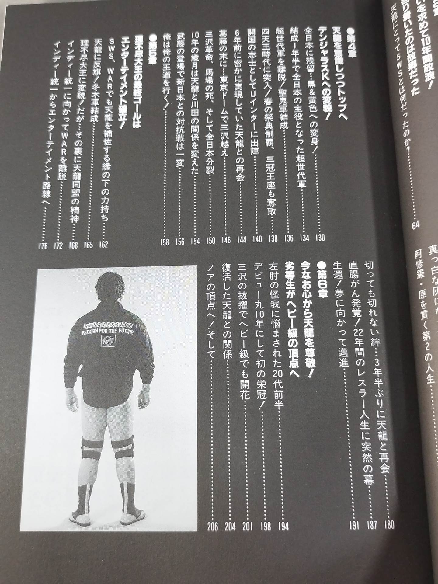 Tenryu Alliance Fifteen Years Struggle