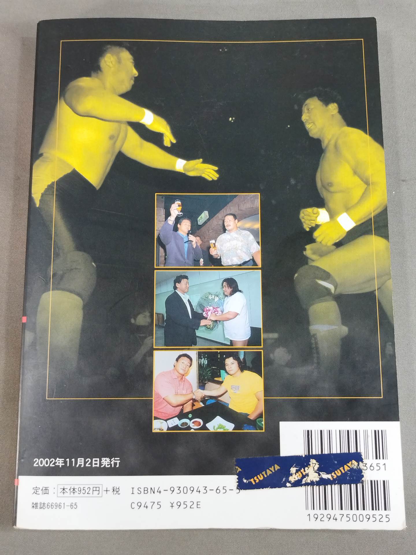 Tenryu Alliance Fifteen Years Struggle