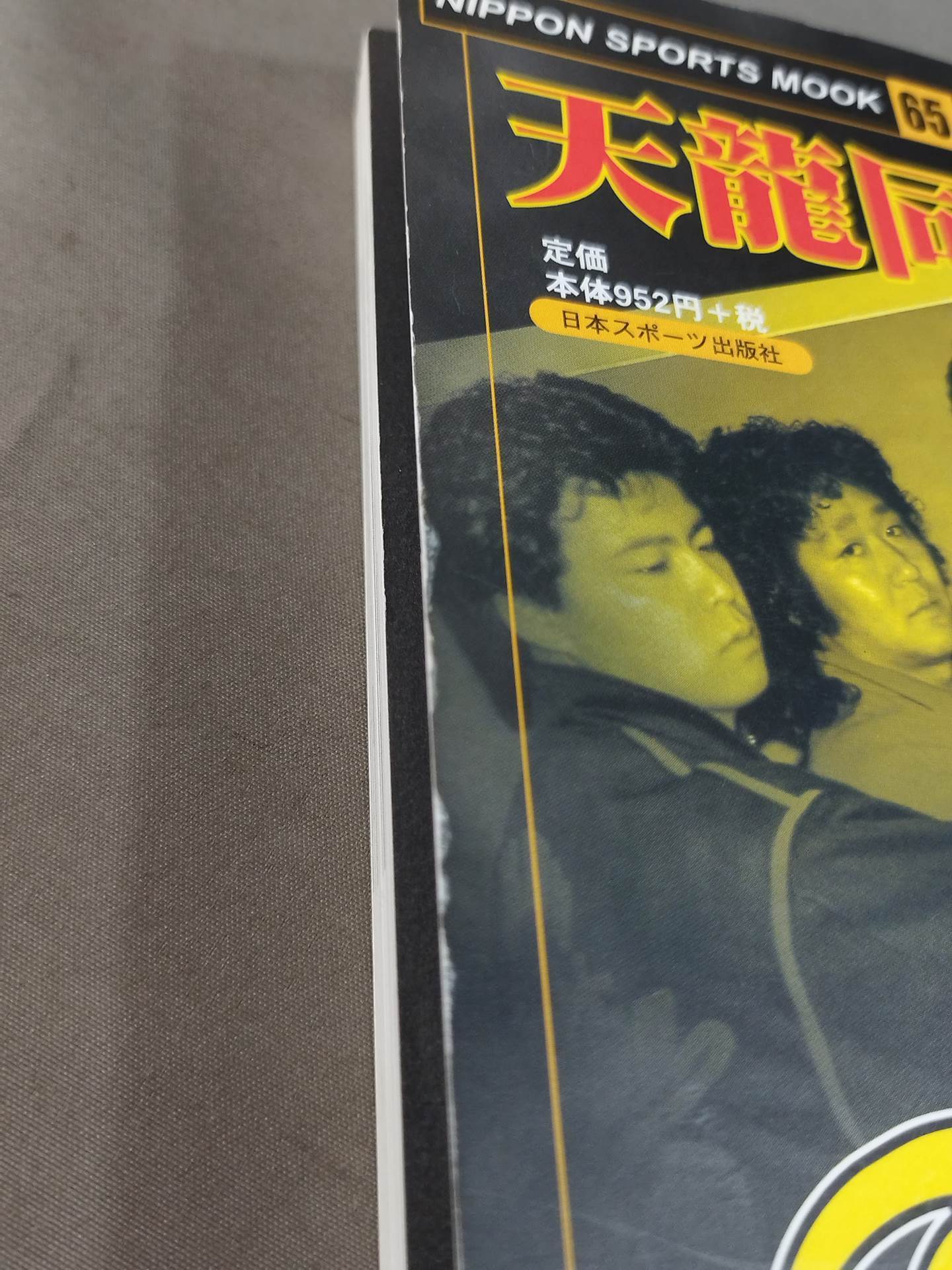 Tenryu Alliance Fifteen Years Struggle