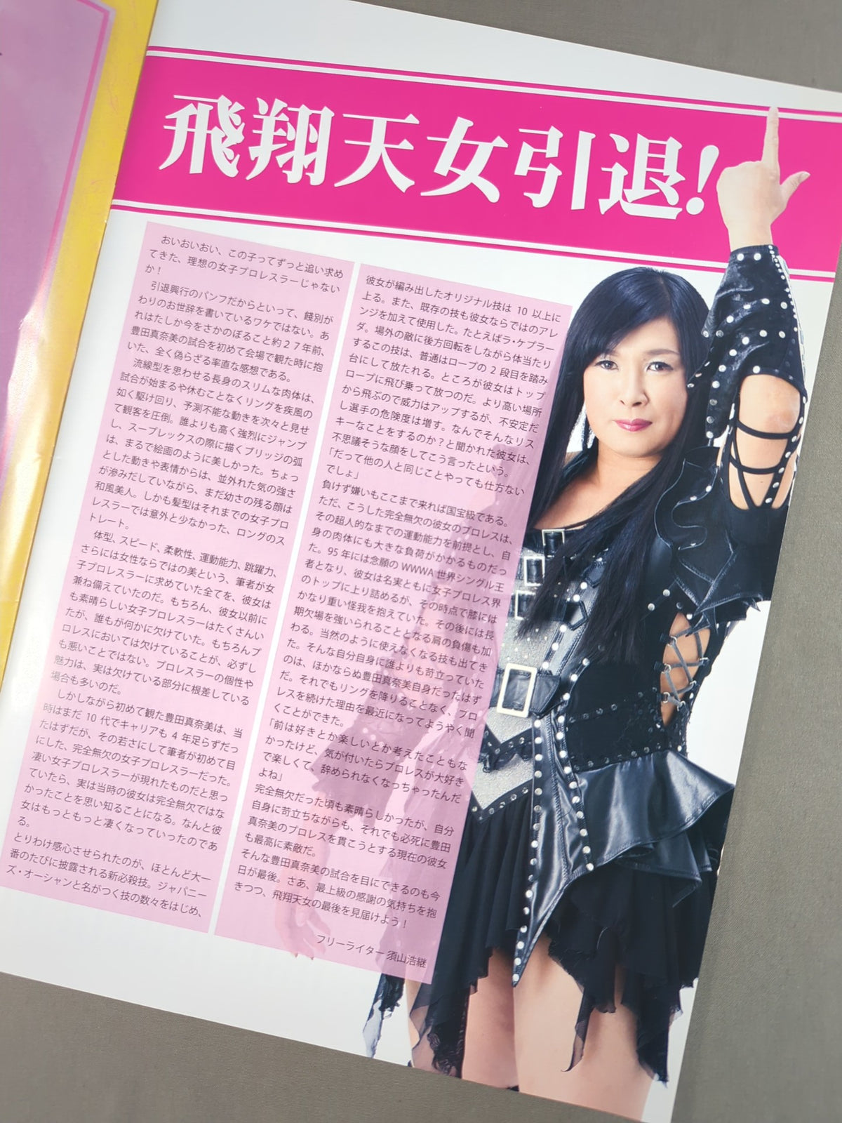 豊田真奈美30周年記念興行 ～飛翔天女 引退～
