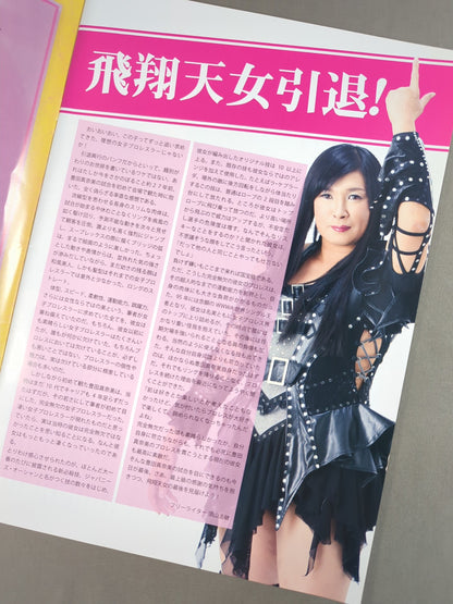 豊田真奈美30周年記念興行 ～飛翔天女 引退～