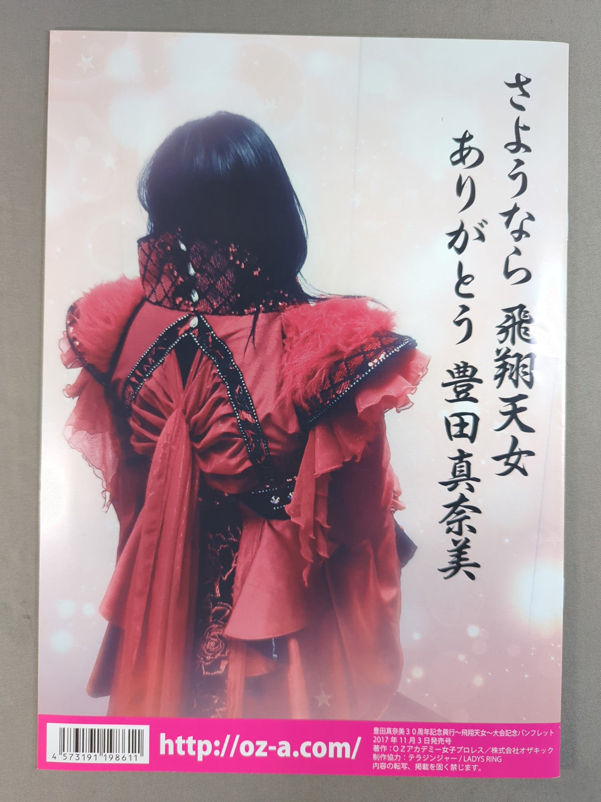豊田真奈美30周年記念興行 ～飛翔天女 引退～