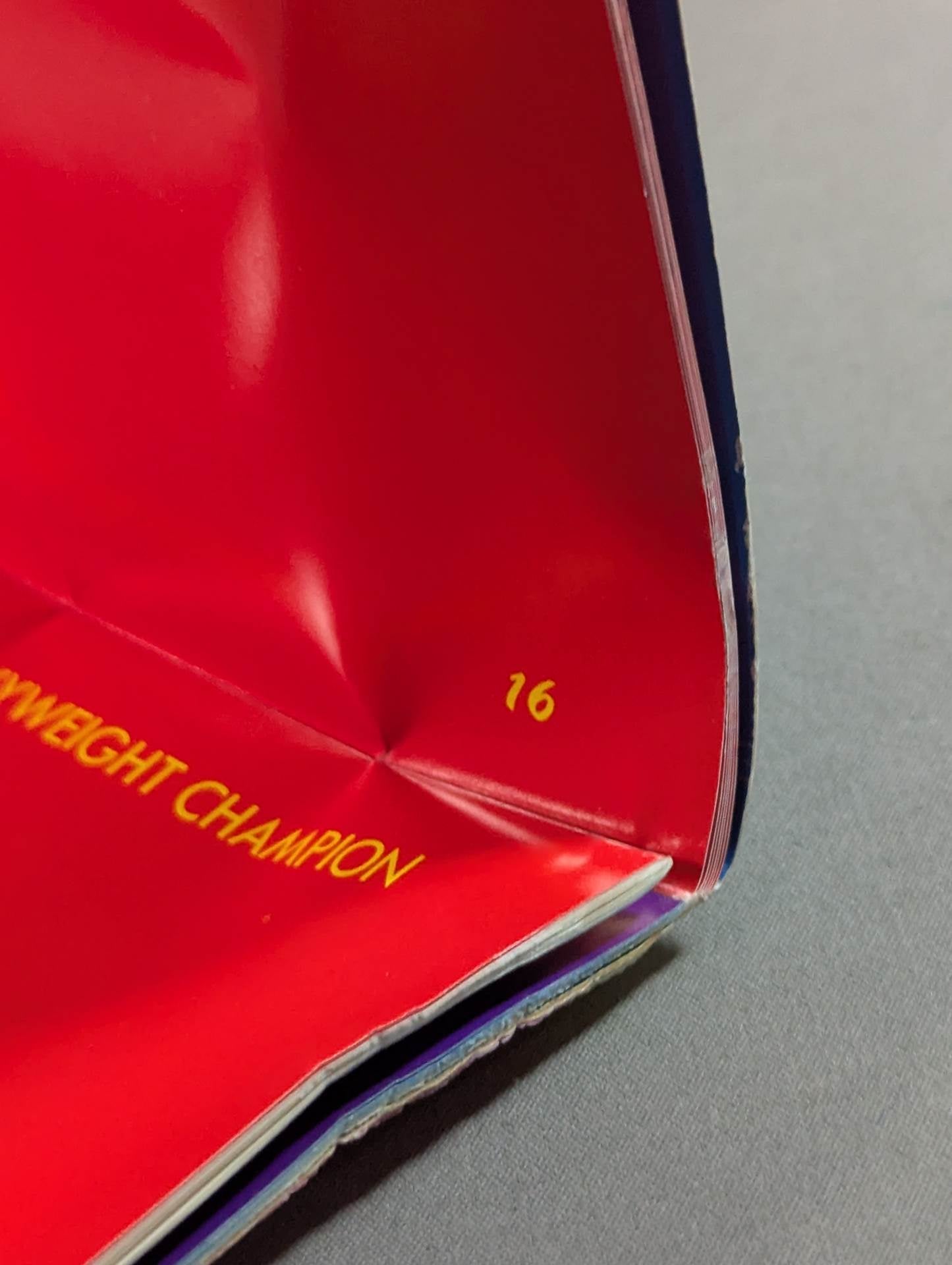 ☆実物大☆ 栄光の輝き プロレスチャンピオンベルト – 闘道館