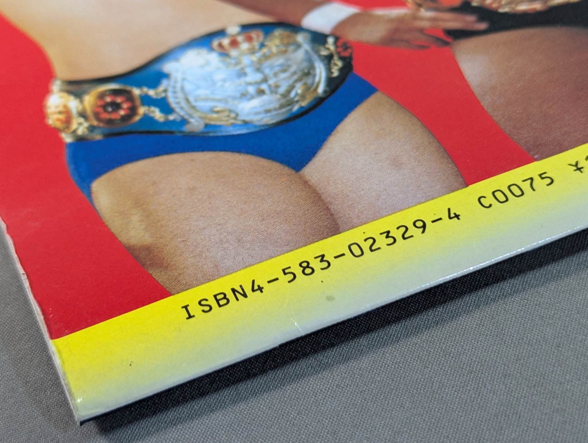 ☆実物大☆ 栄光の輝き プロレスチャンピオンベルト – 闘道館