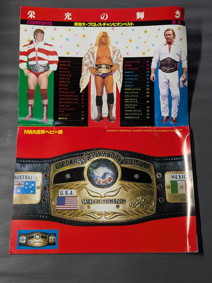★ Life-size ★ glorious Pro Wrestling Championship Belt