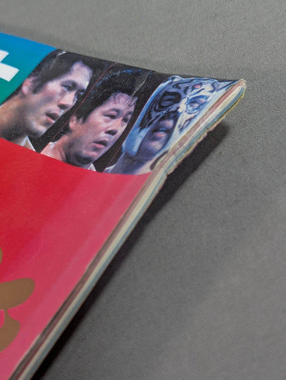 ★ Life-size ★ glorious Pro Wrestling Championship Belt