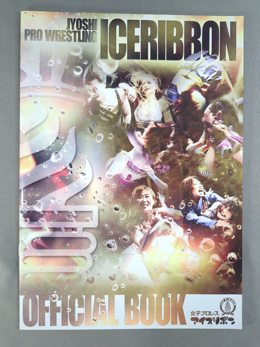 Ice Ribbon Pamphlet (2020/12/31)