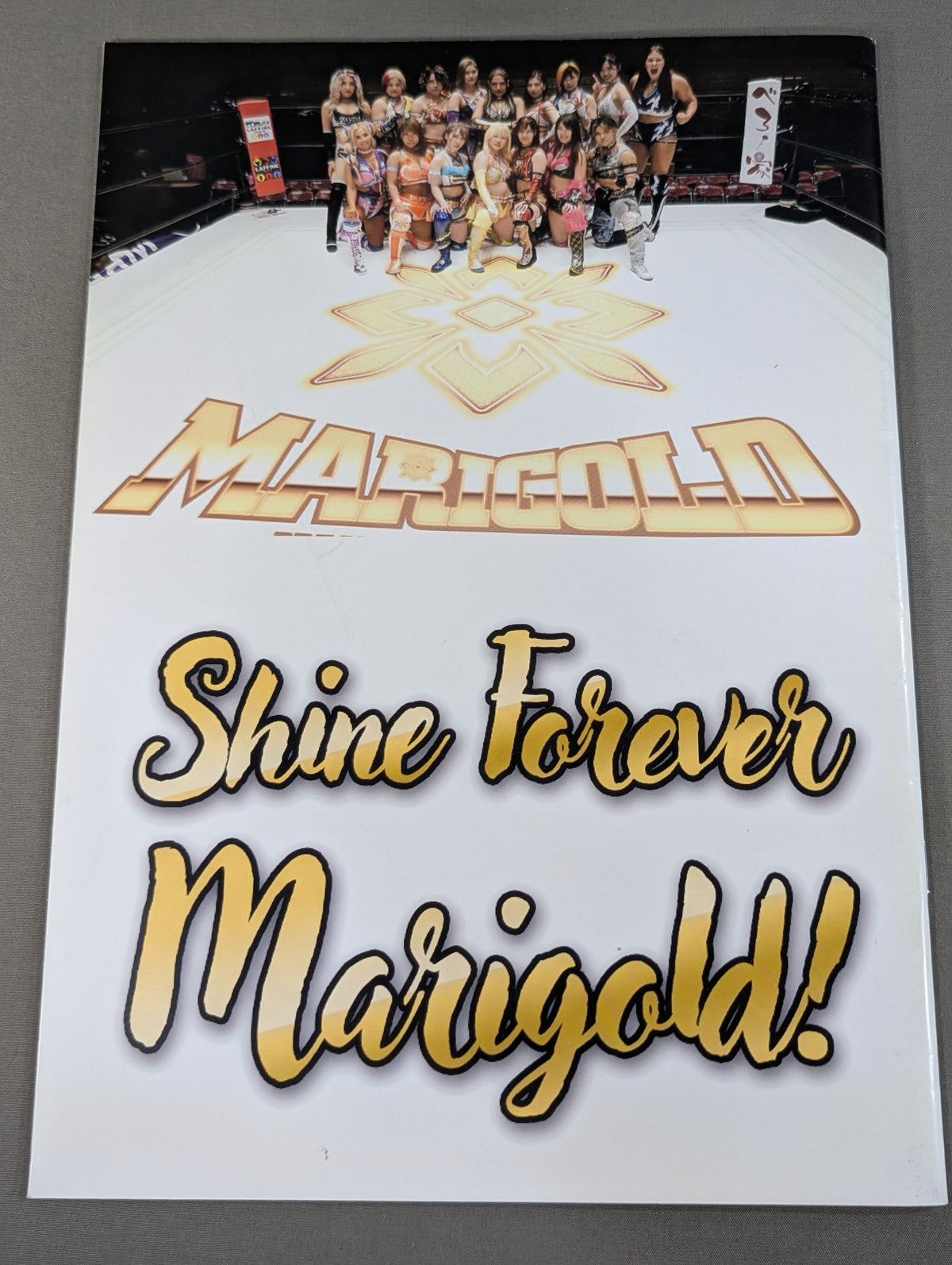 Marigold Premium Portrait Book