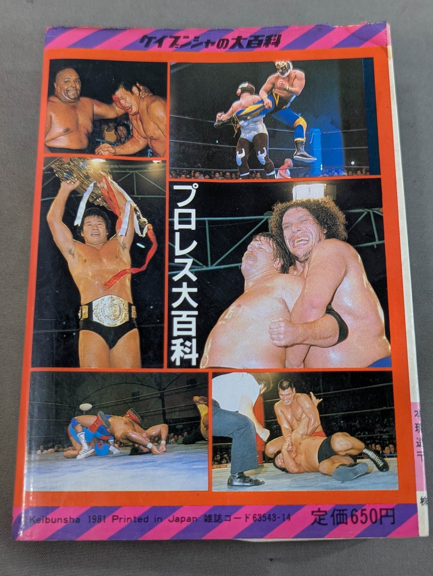 プロレス大百科 レスラーから必殺技まで､プロレスのすべて！ – 闘道館